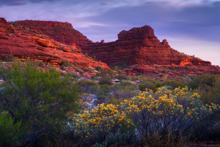Beautiful Landscape in Alice Springs